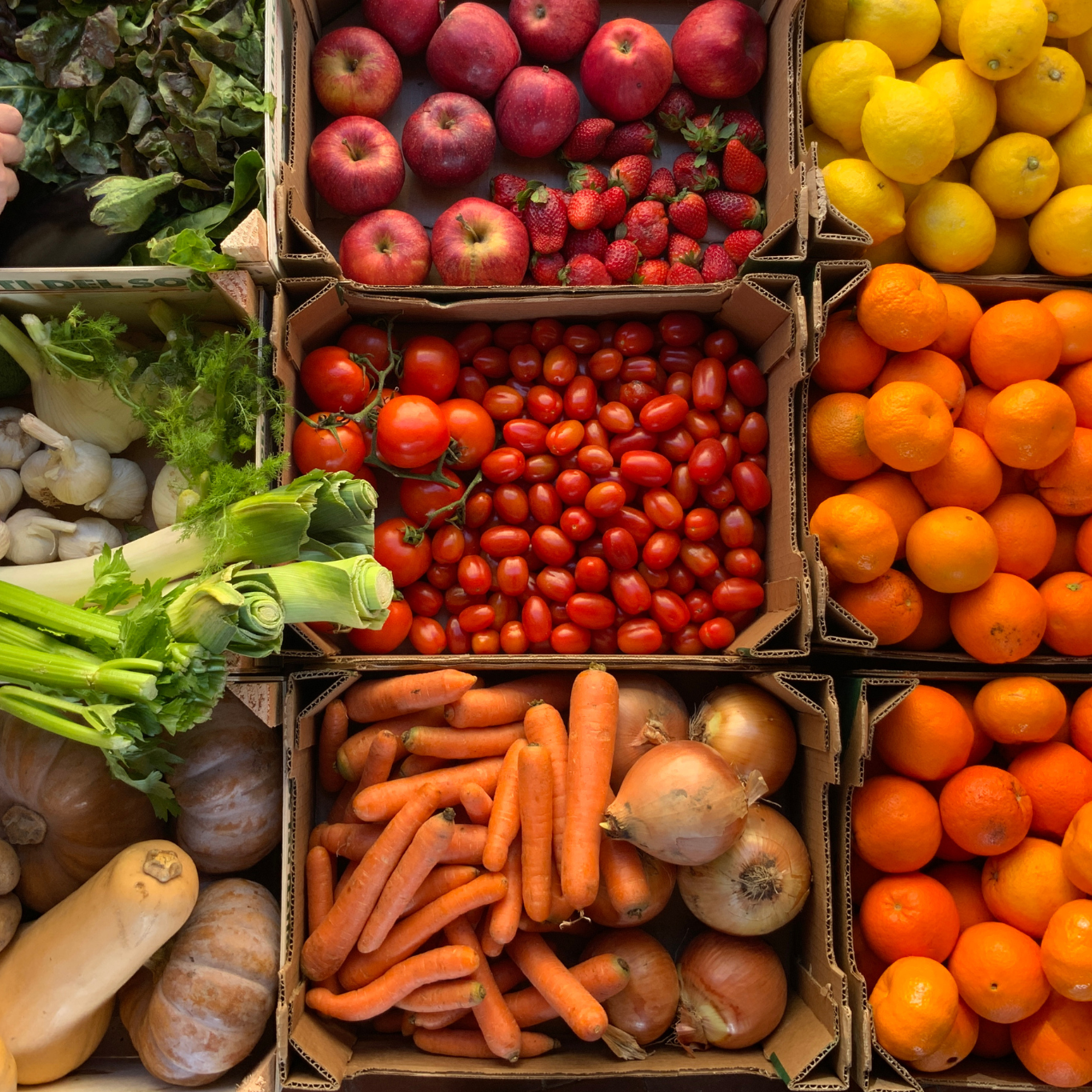 Ontwerp zonder titel (8)