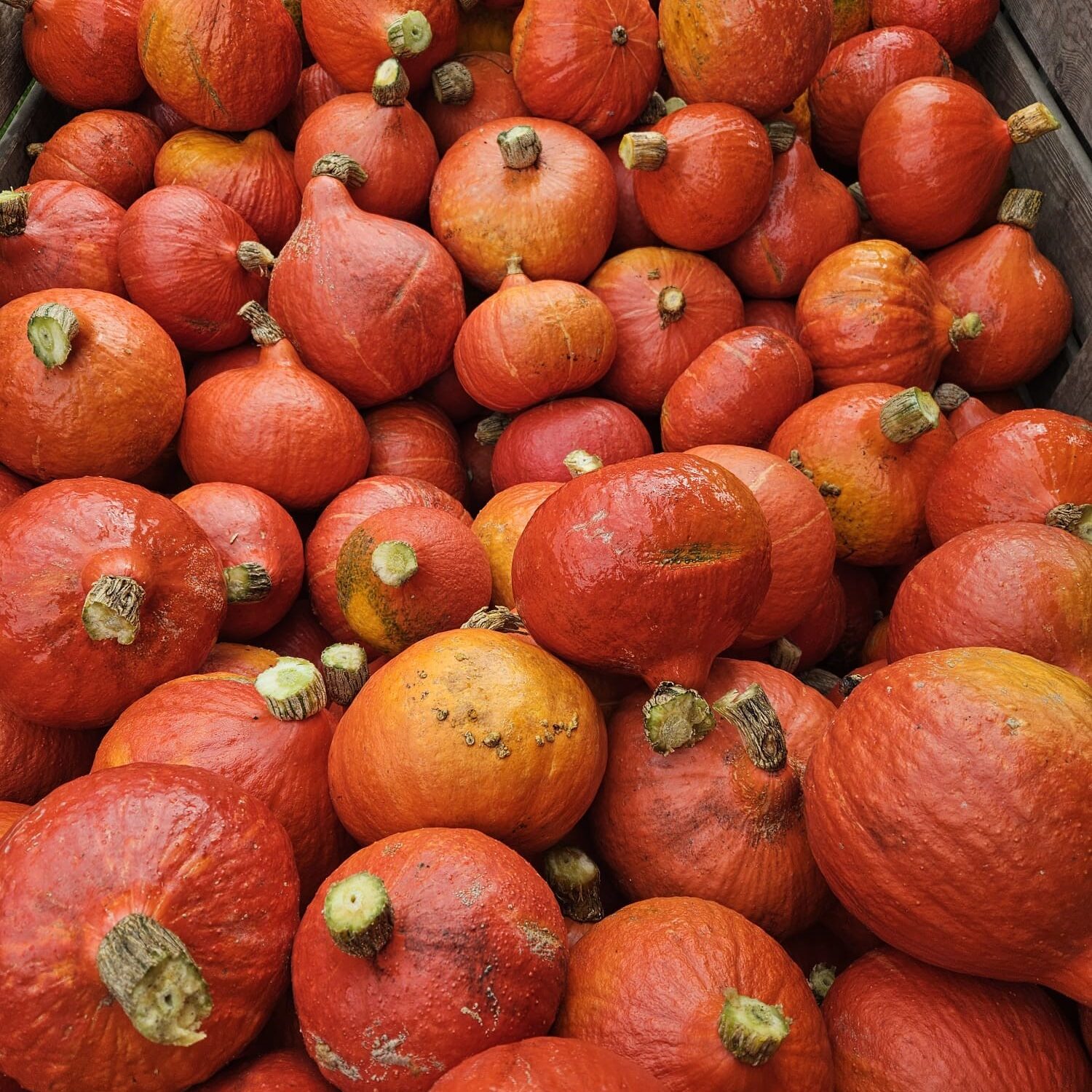 depostbaan foto website 2